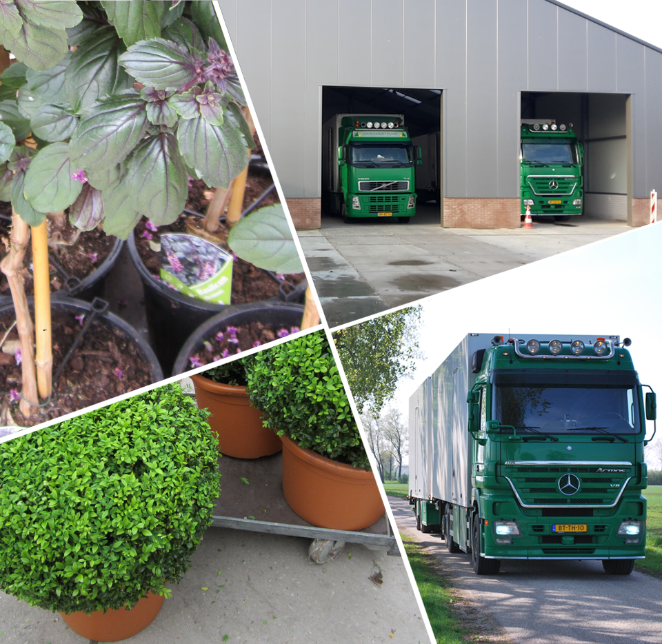 collage_logistiek